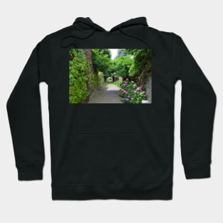 Alley lined with flowers Hoodie